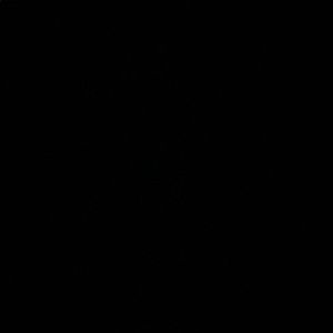 Meet your Posher, Woo